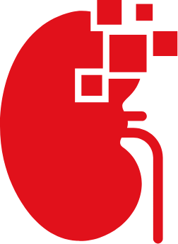 Hellokidney logo